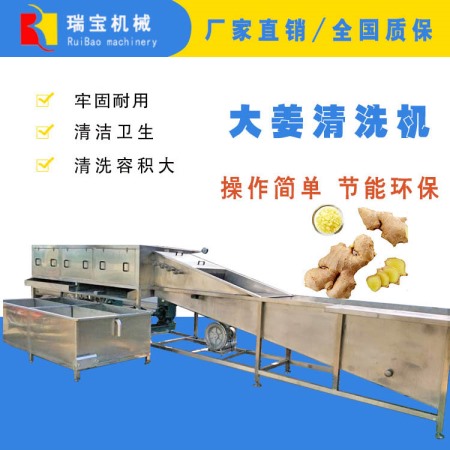 鮮姜輸送清洗機  大姜加工設(shè)備